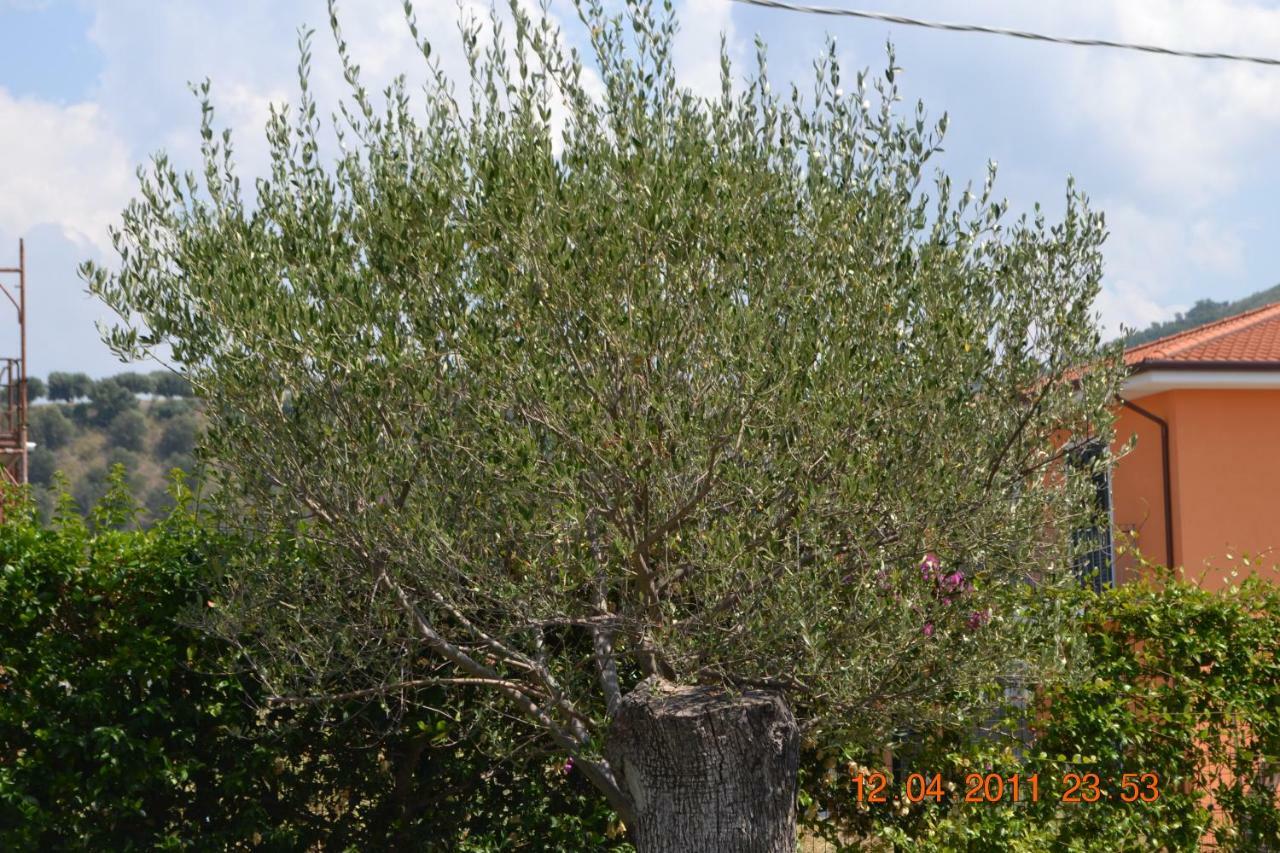 Oasi Peppa Βίλα Ascea Εξωτερικό φωτογραφία