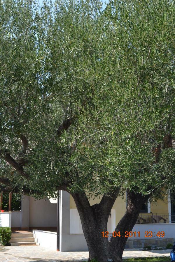 Oasi Peppa Βίλα Ascea Εξωτερικό φωτογραφία